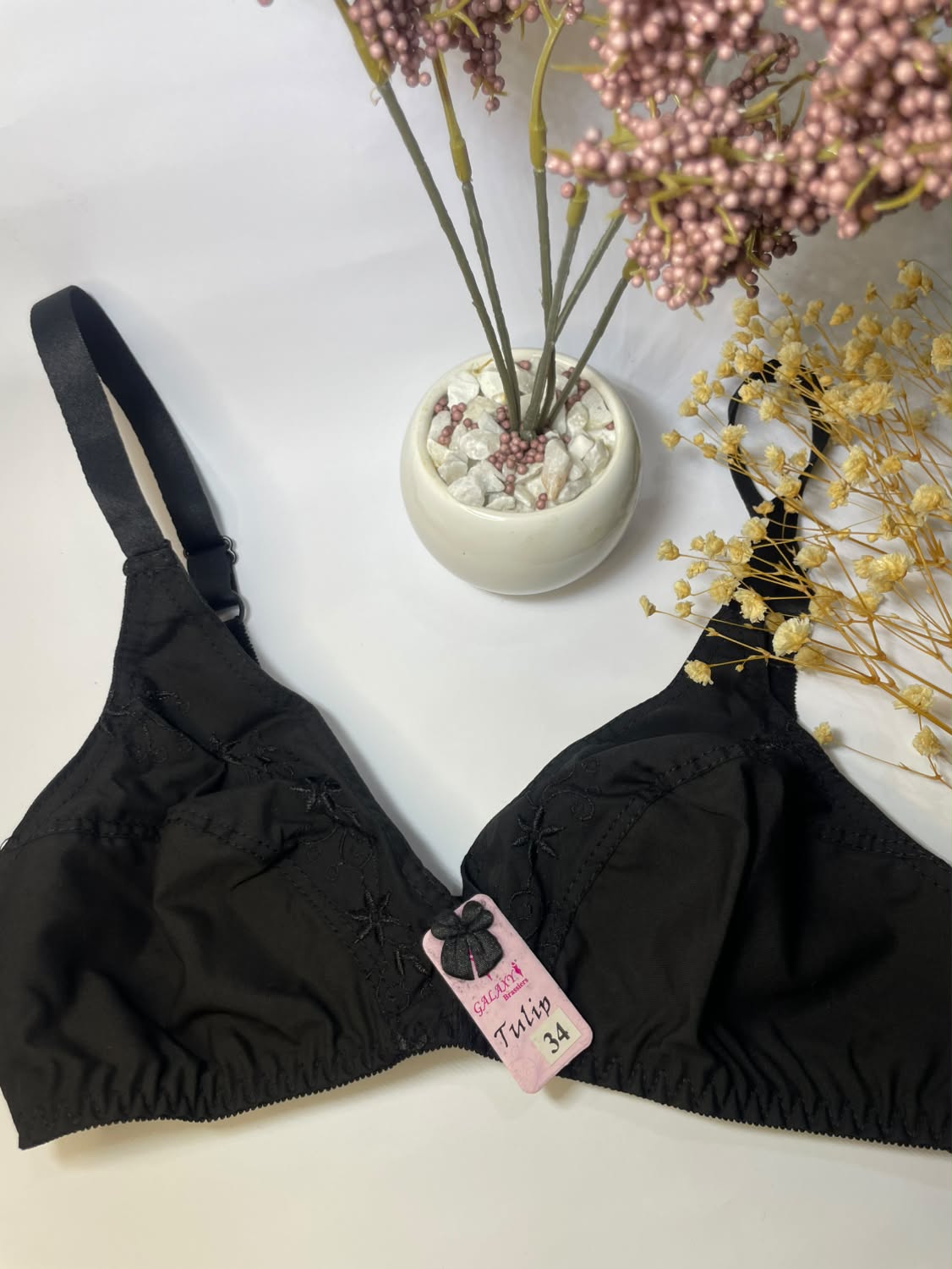 Cotton Comfort & Everyday Wear